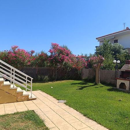 Dimar1 Seaside Apartment Paralia Dionysiou Exteriér fotografie